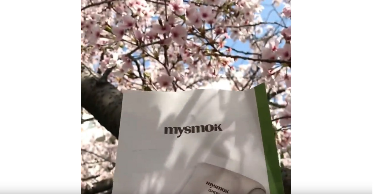 wanneer Yun Xi warmte niet klopt apparaat ontmoet sakura